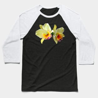 Pale Yellow Cattleya Orchids Baseball T-Shirt